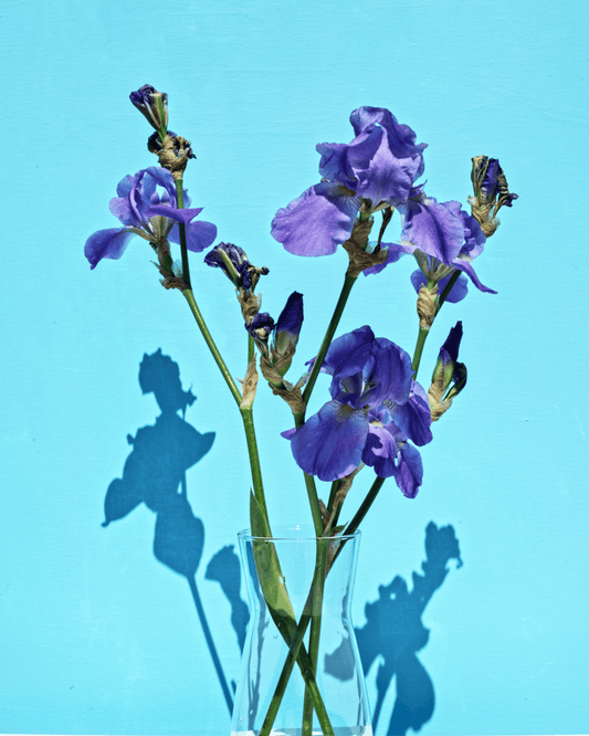 Myscent - Eau de Parfum - 100 ml